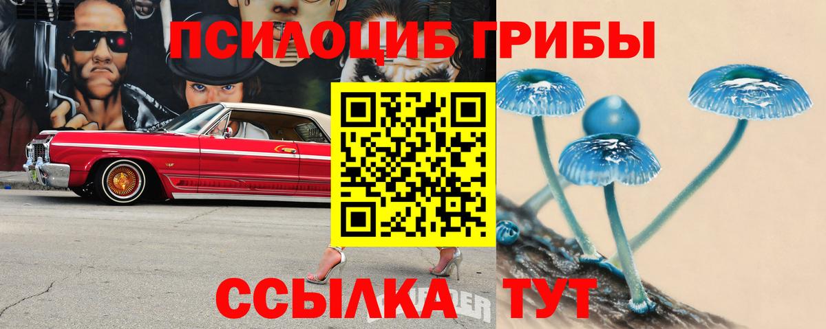 Галлюциногенные грибы Cubensis  Вход с VPN  Псилоцибиновые грибы ЛСД  Михайловск 